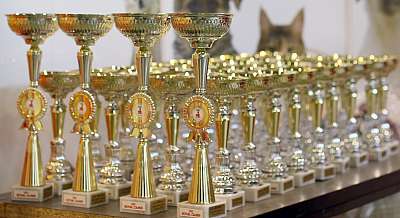 �������� ����� '���-�����-��������' 20-21 �������� 2014 �������� ����� '���-�����-��������' 20-21 �������� 2014 169A0801 copy.jpg